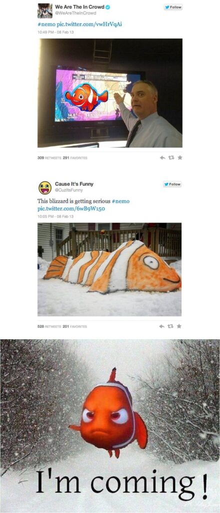 Nemo Memes