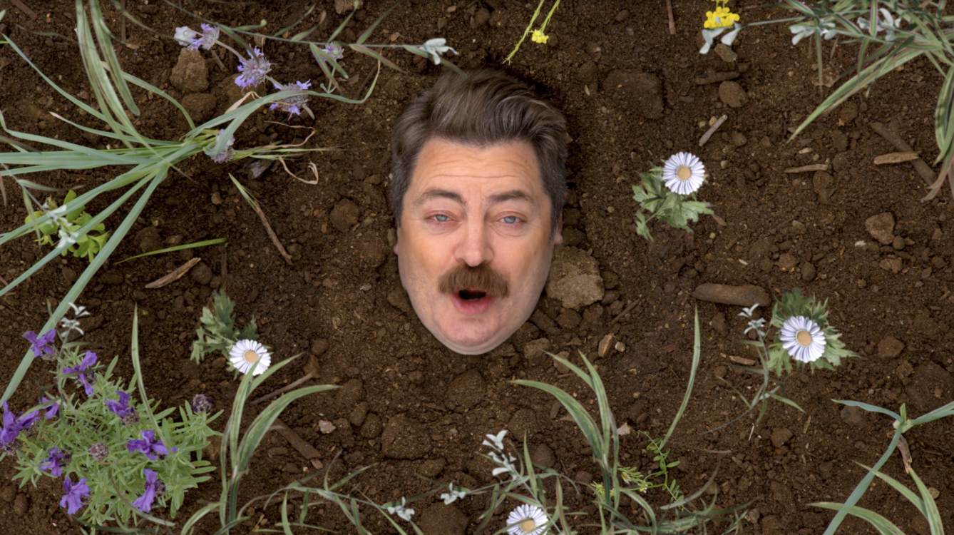 Nick Offermans face surrounded by dirt and flowers