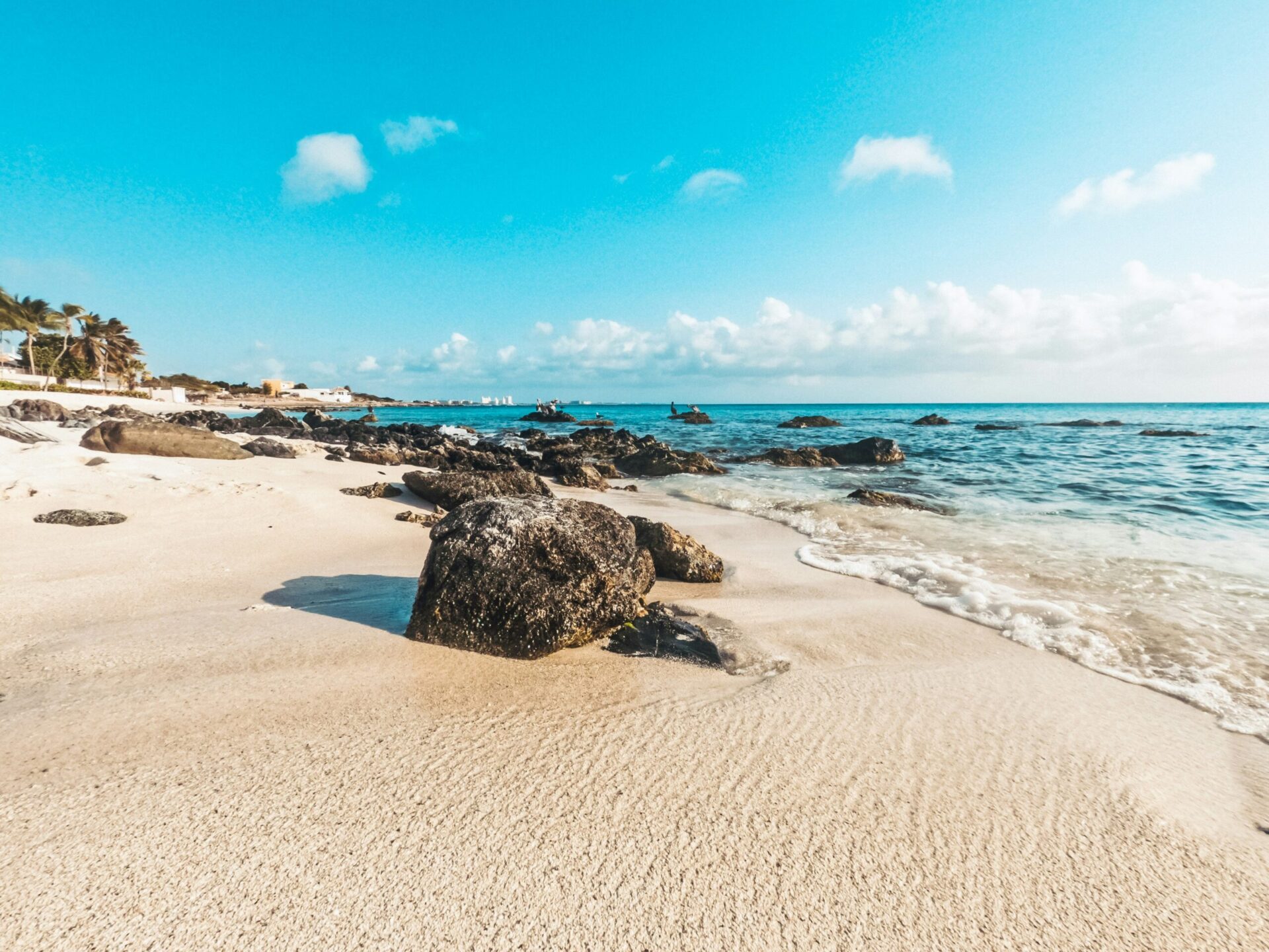 The blue skies and sandy beach of Aruba 