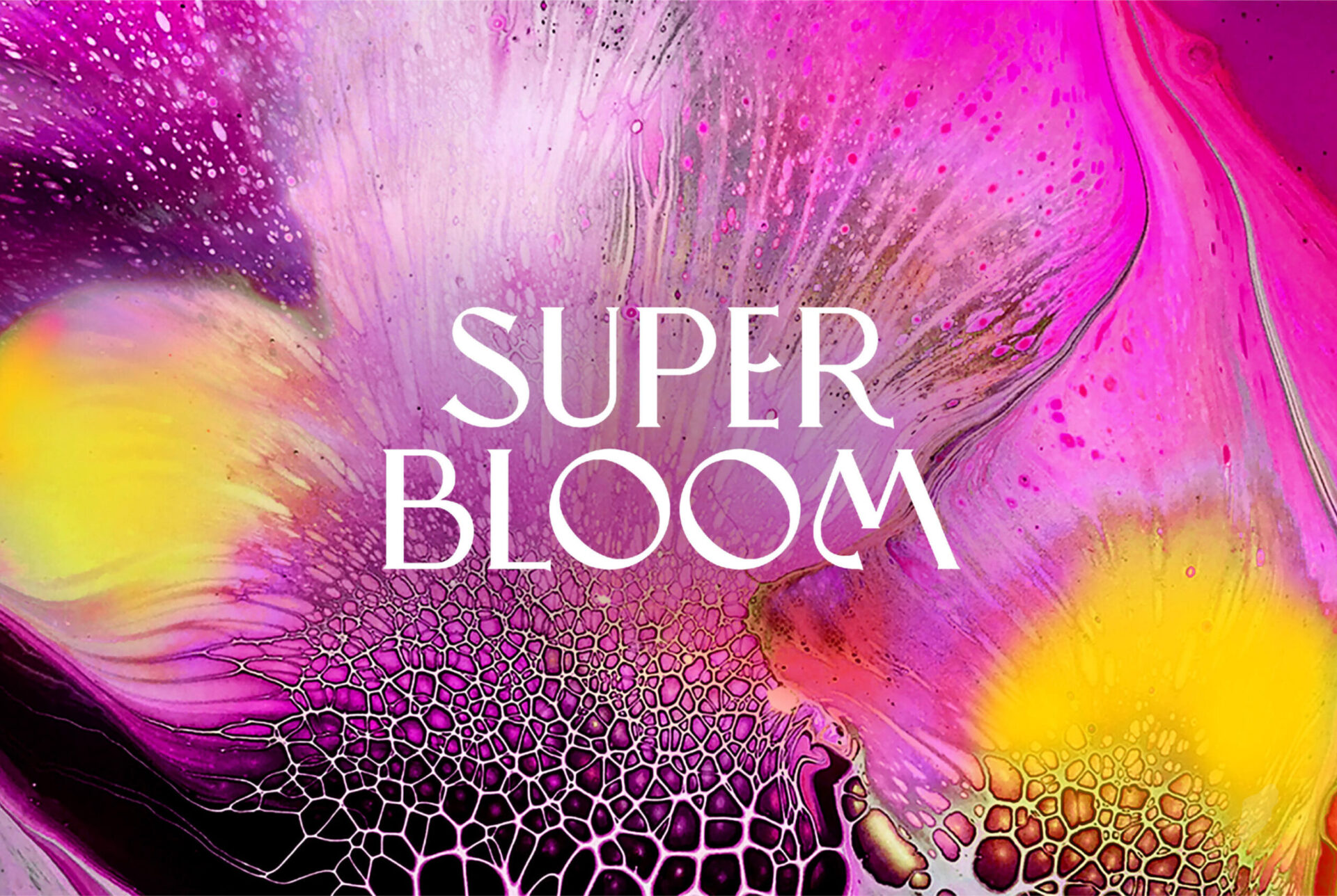 [専用出品]SUPER BLOOM media@3x-scaled.jpg