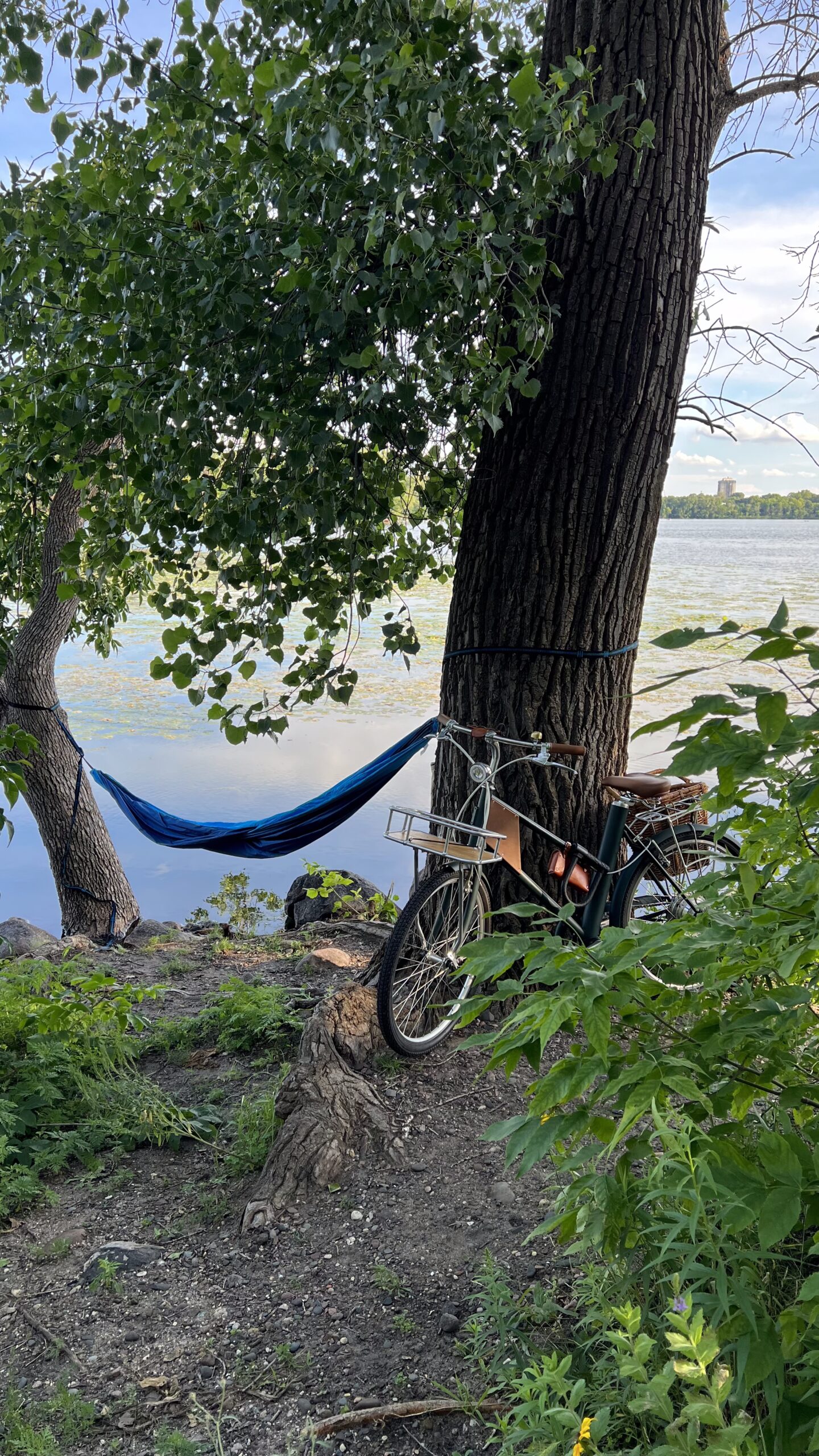A bicycle parked beside a tree near a blue hammock hanging by a calm lakeshore surrounded by greenery.