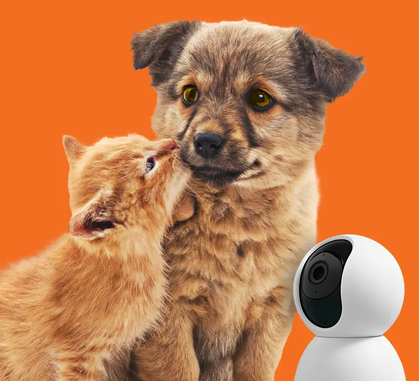 Plugging into Pet Tech to Foster Loyalty and Drive Growth